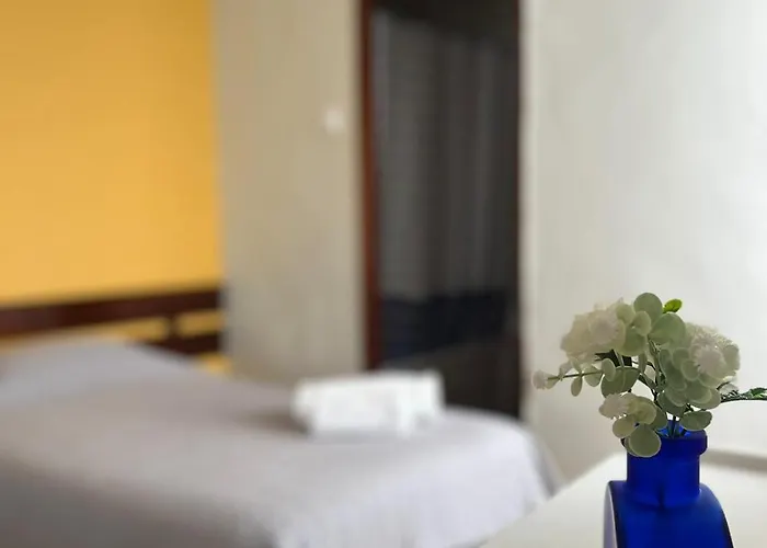 Residencia Aviz Гостевой дом